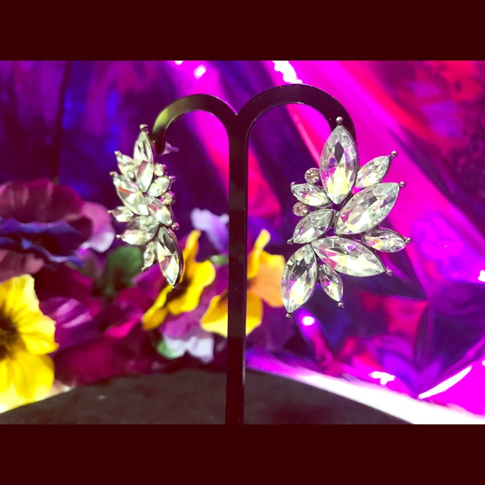 Fashion Earrings